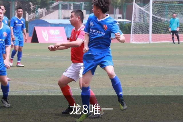 龙8唯一企业介绍
